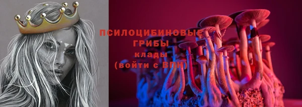 2c-b Абинск