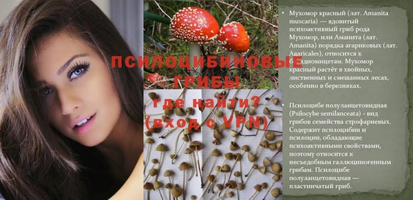 твердый Абдулино