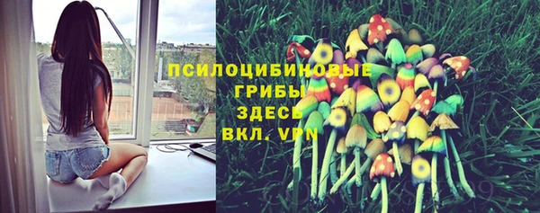 твердый Абдулино