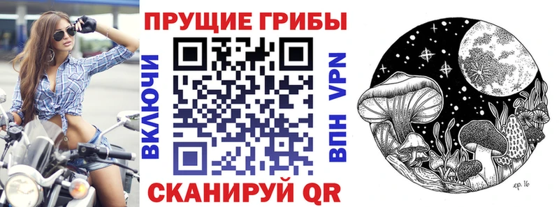 наркотики Яровое площадка как зайти Псилоцибиновые грибы мицелий